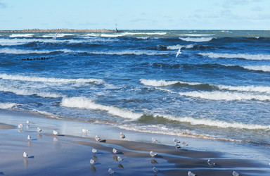 Similar image 21626939