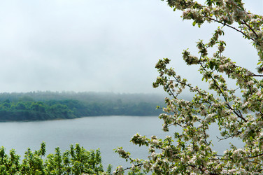 Similar image 21560017