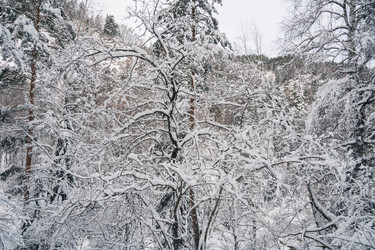 Similar image 21560035