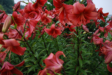 Similar image 21556437