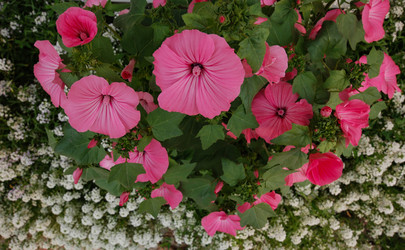 Similar image 21554964