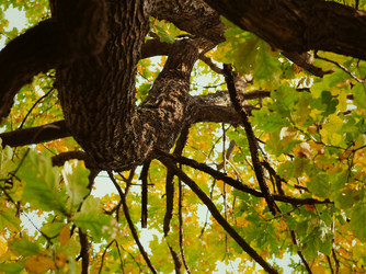 Similar image 21554966