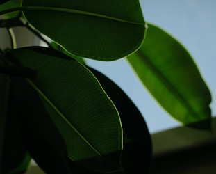 Similar image 21554967