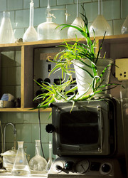 Similar image 21555056