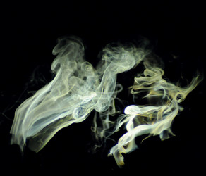 Similar image 21555059