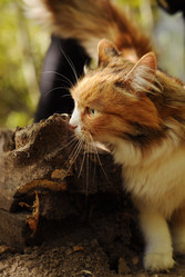 Similar image 21555060