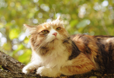 Similar image 21555063