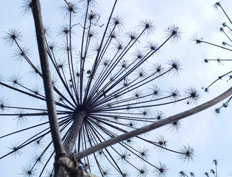 Similar image 21555089