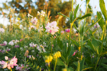 Similar image 21627353