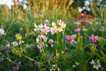 Similar image 21627354