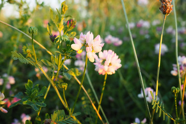 Similar image 21627355