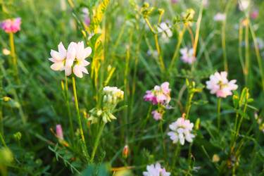 Similar image 21627357