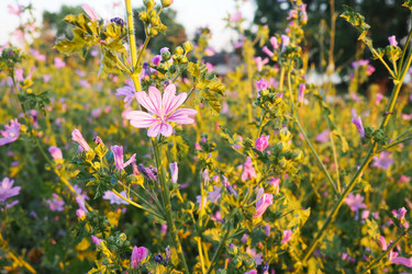 Similar image 21627358