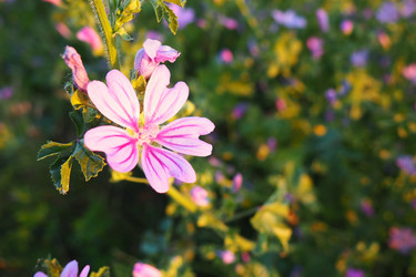 Similar image 21627359