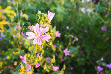 Similar image 21627360