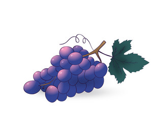 Similar image 21549820