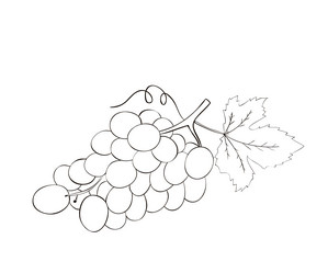 Similar image 21550139