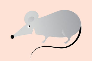 Similar image 21550161