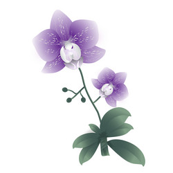 Similar image 21550964