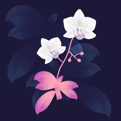 Similar image 21550970