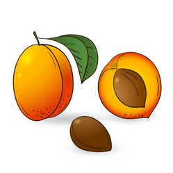 Similar image 21551405