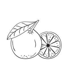 Similar image 21551414