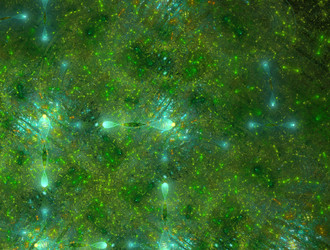 Similar image 21617979