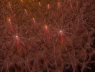 Similar image 21619310