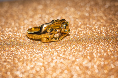 Similar image 21549933