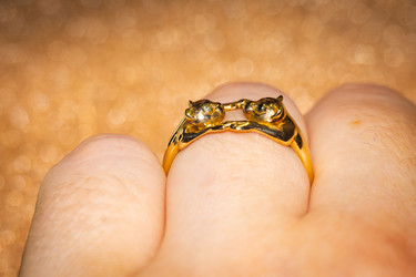 Similar image 21549934