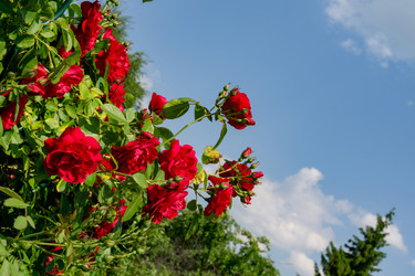 Similar image 21549937