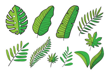 Similar image 21550000