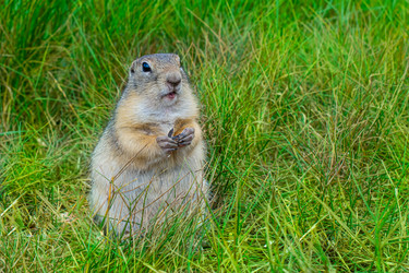 Similar image 21550788