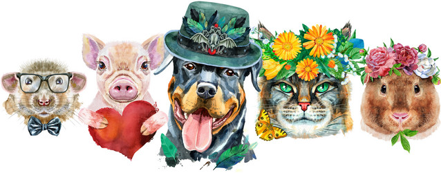 Similar image 21553843