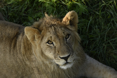 Similar image 21551935