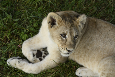 Similar image 21551936