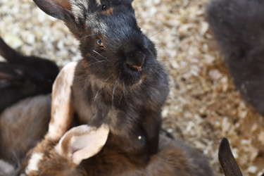 Similar image 21551941