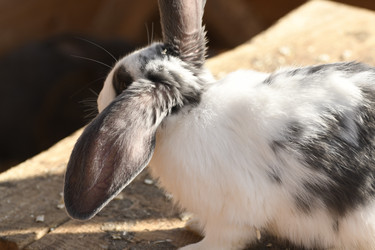 Similar image 21551942