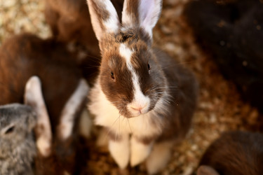 Similar image 21551943