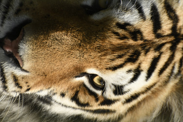 Similar image 21551953