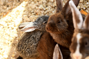 Similar image 21551955