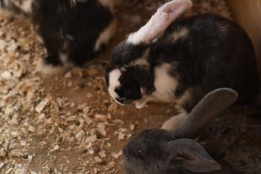 Similar image 21551956