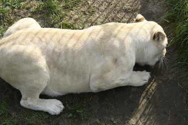 Similar image 21551957