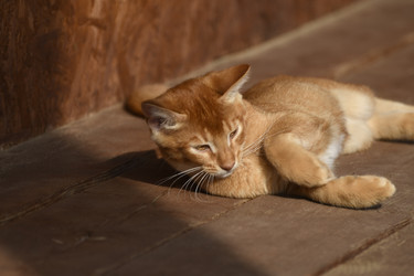 Similar image 21551958