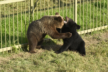 Similar image 21551734