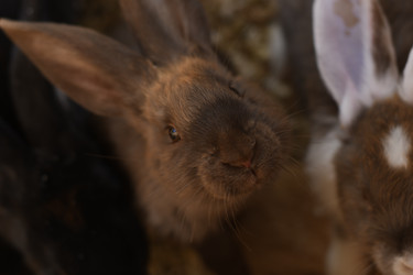 Similar image 21551736