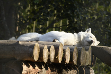 Similar image 21551737