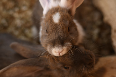 Similar image 21551739