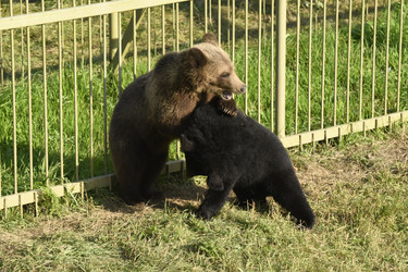 Similar image 21551740