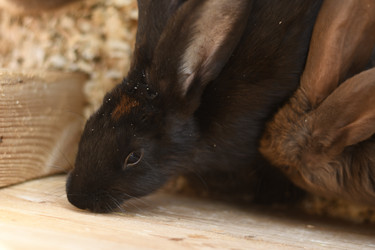 Similar image 21551741